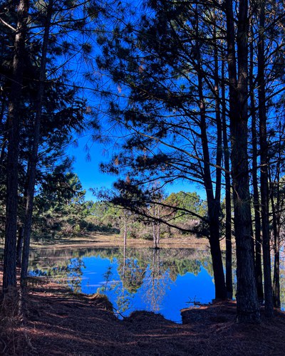 Reflexo em água tirado com celular