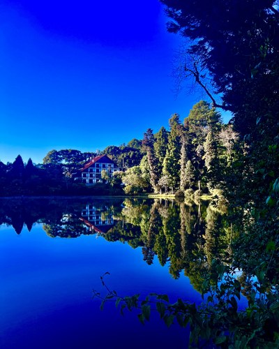 Reflexo em água tirado com celular